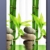 EDLER Textil Duschvorhang 240 x 200 cm "Bambus mit Stein" Grün Weiß inkl.Ringe -